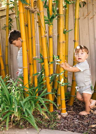 Ribbed Bamboo 2 Piece Shorts Set